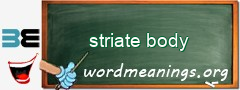 WordMeaning blackboard for striate body